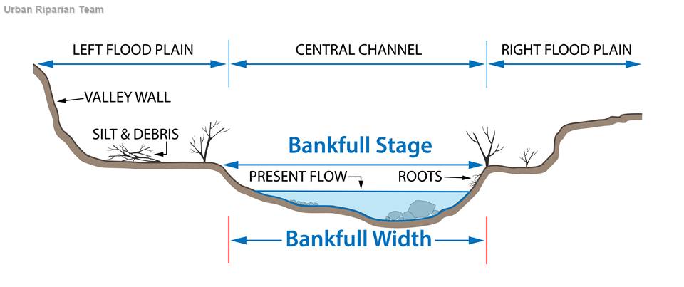 Bankfull creek diagram, demonstrating the area that tends to flood every 1-2 years.